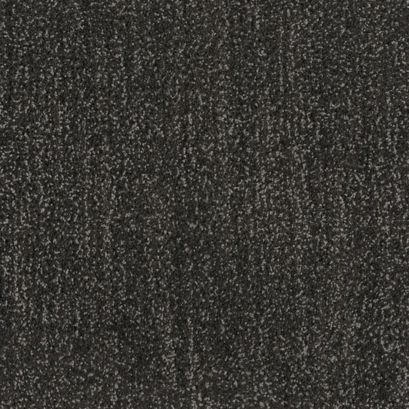 Shaw Floors Caress By Shaw Ombre Whisper Wrought Iron