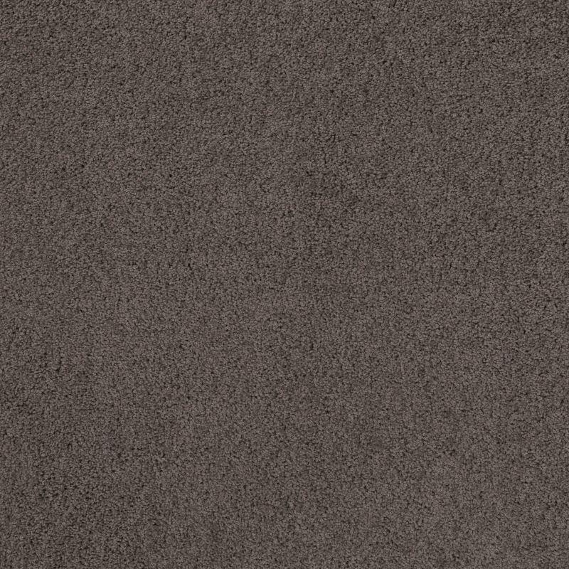 Shaw Floors Caress By Shaw Rich Opulence Burma Brown