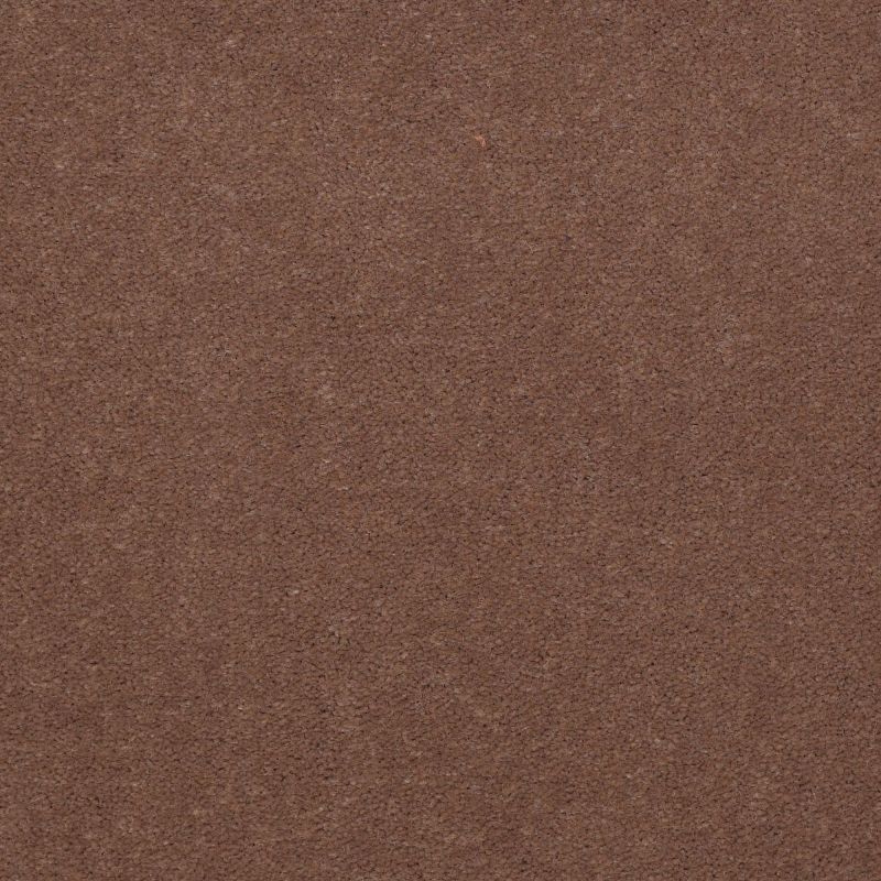 Philadelphia Commercial Carpet Exchange Excel 30 Koala