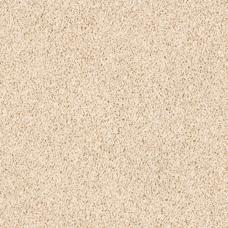 Shaw Floors Lonestar Putty