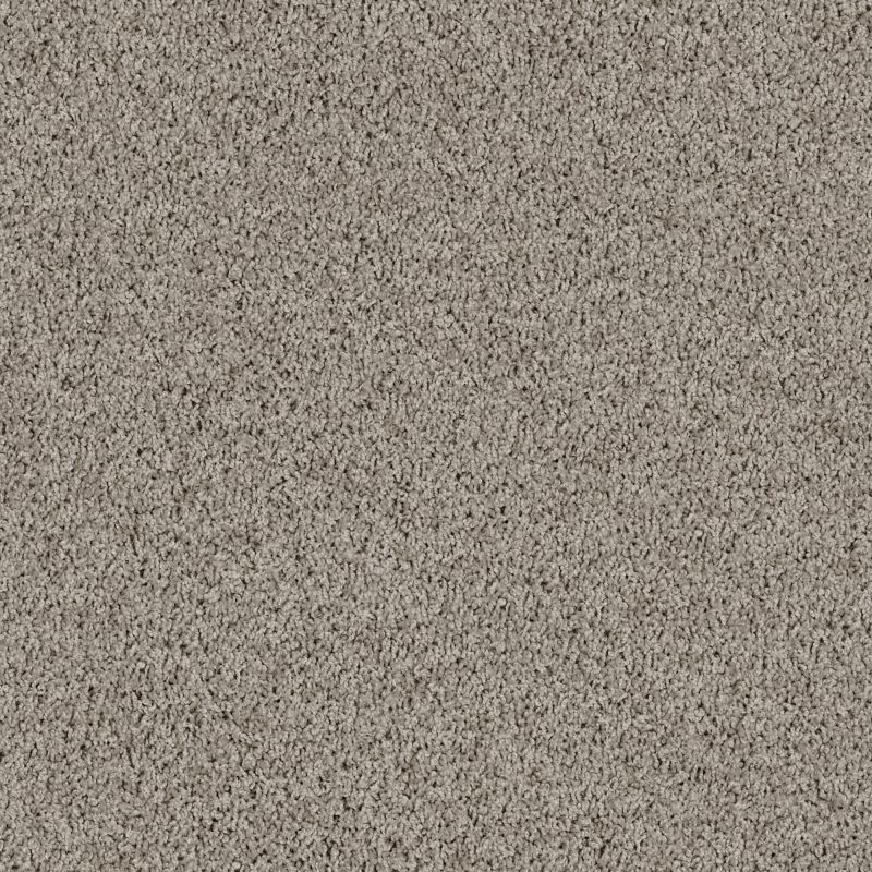 Shaw Floors Lonestar Dovetail