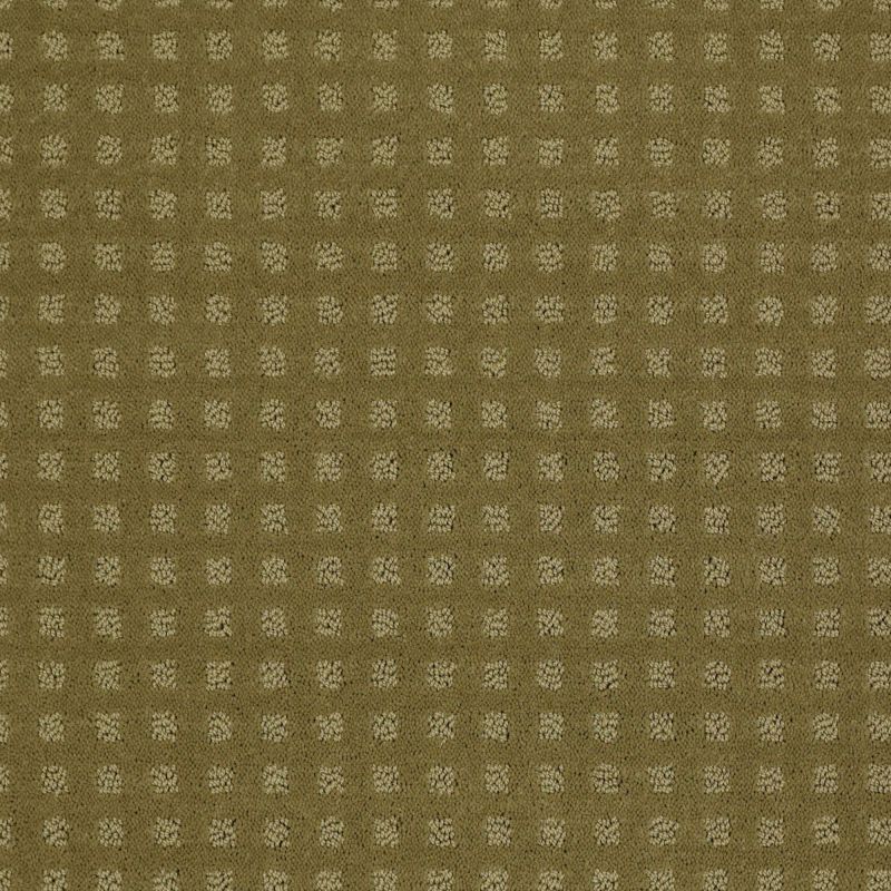 Shaw Floors Nottingham Aloe