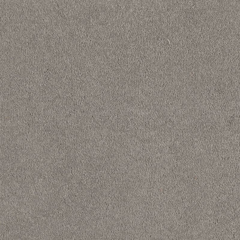 Shaw Floors Magic At Last I 12' Nickel