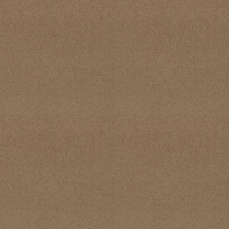 Shaw Floors Magic At Last III 12' Malted Milk