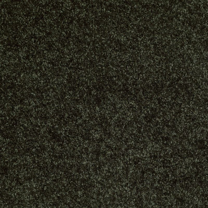 Shaw Floors Vermont (s)12' Jaden