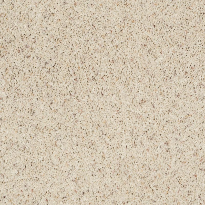 Shaw Floors Thunder Struck (b) Outer Bank