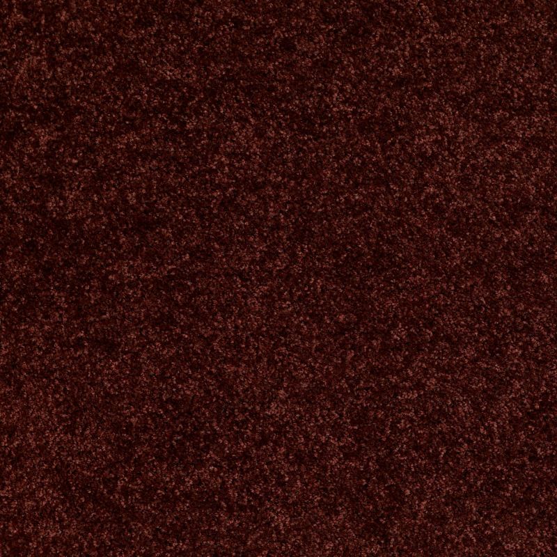 Shaw Floors Vitalize (s) 12' Dark Cherry