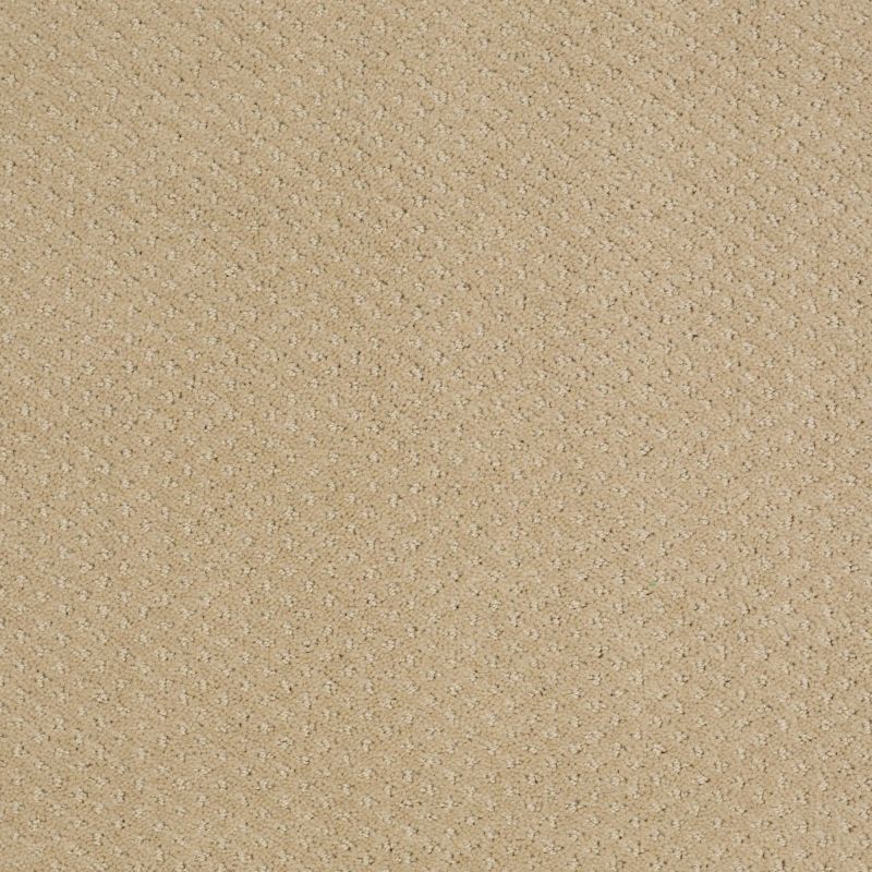 Shaw Floors Genesis Fieldstone