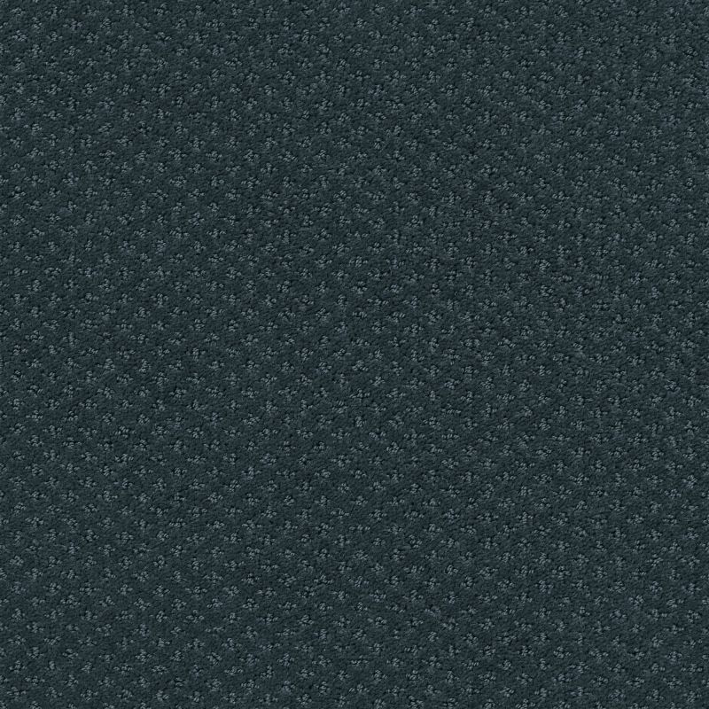 Shaw Floors Genesis Indigo