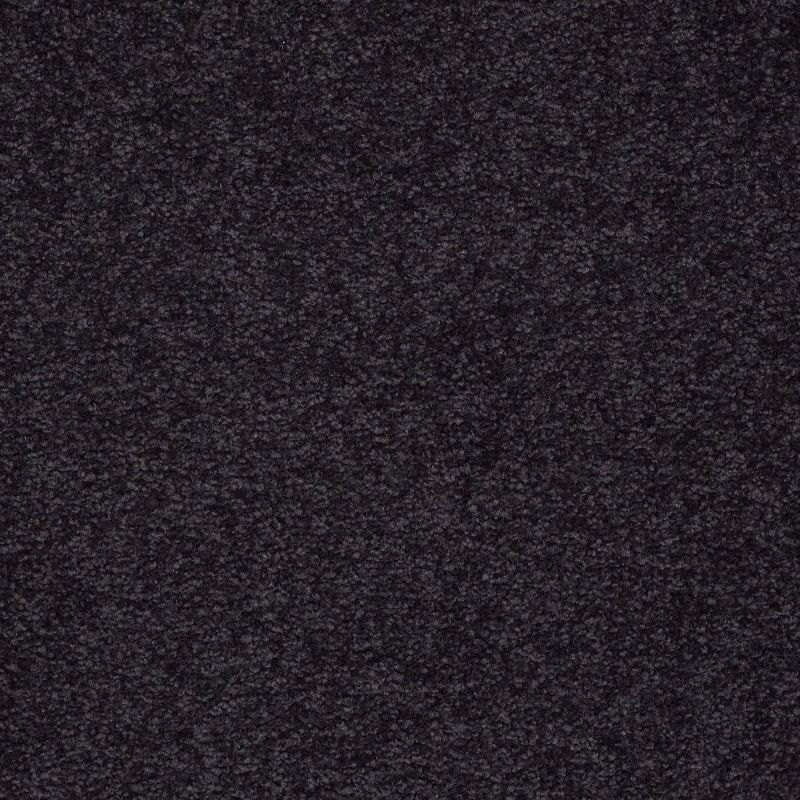 Shaw Floors Sandy Hollow Classic I 12' Graphite