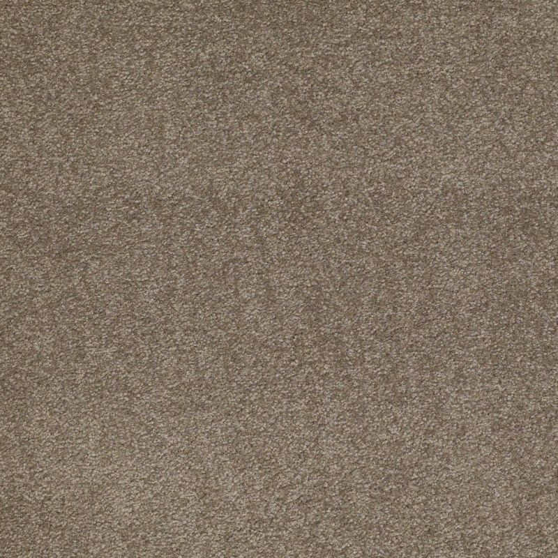 Shaw Floors Sandy Hollow Classic Iv 12' Wood Smoke