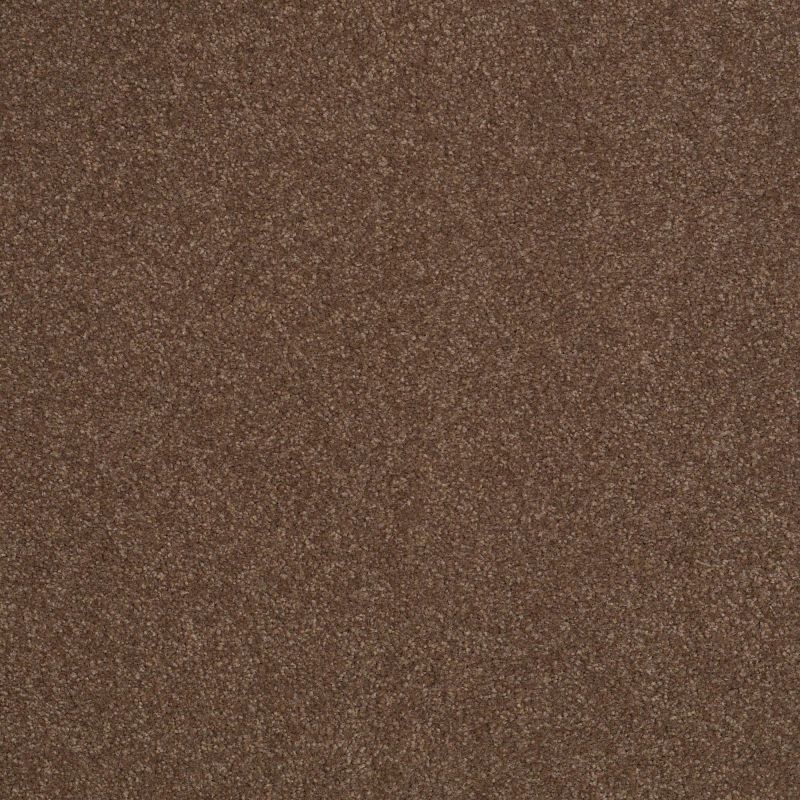 Shaw Floors Sandy Hollow Classic Iv 15' Wooden Box