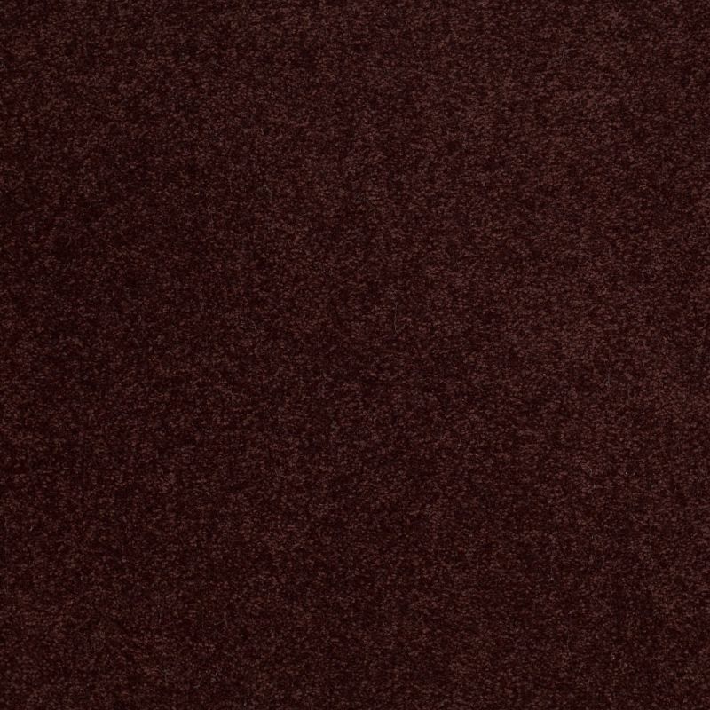 Shaw Floors Sandy Hollow Classic Iv 15' Rouge Red