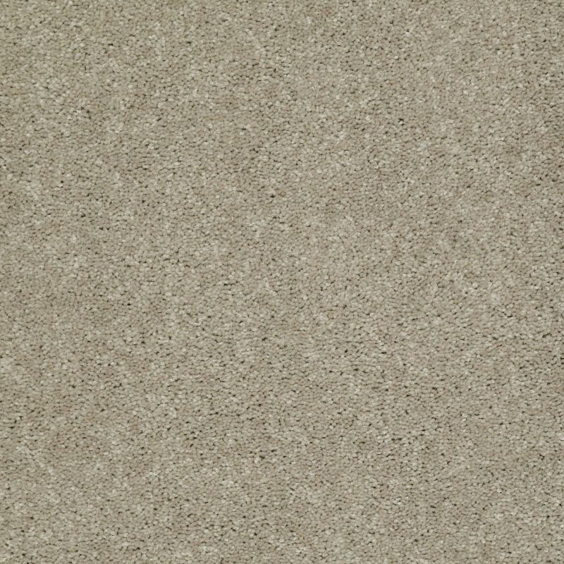 Shaw Floors Foundations Well Played I 12' Honeycomb