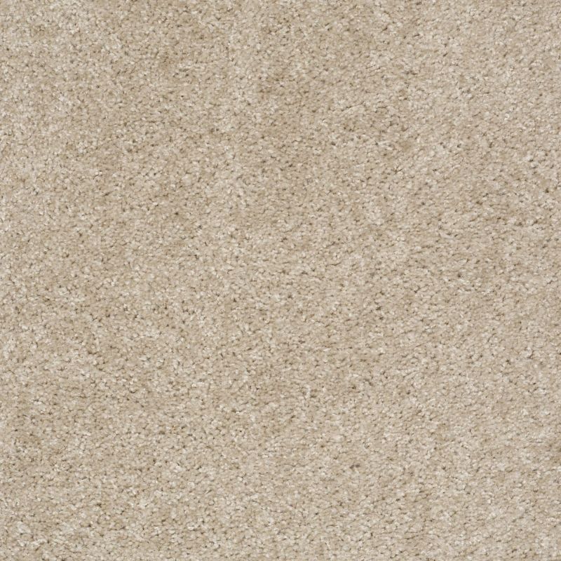 Shaw Floors Max Appeal Amazing Greige