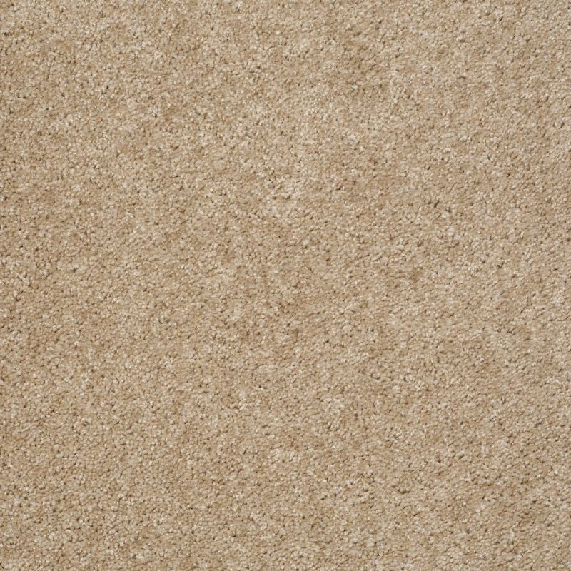 Shaw Floors Max Appeal Hillsborough