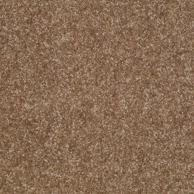 Shaw Floors Victory Bannister