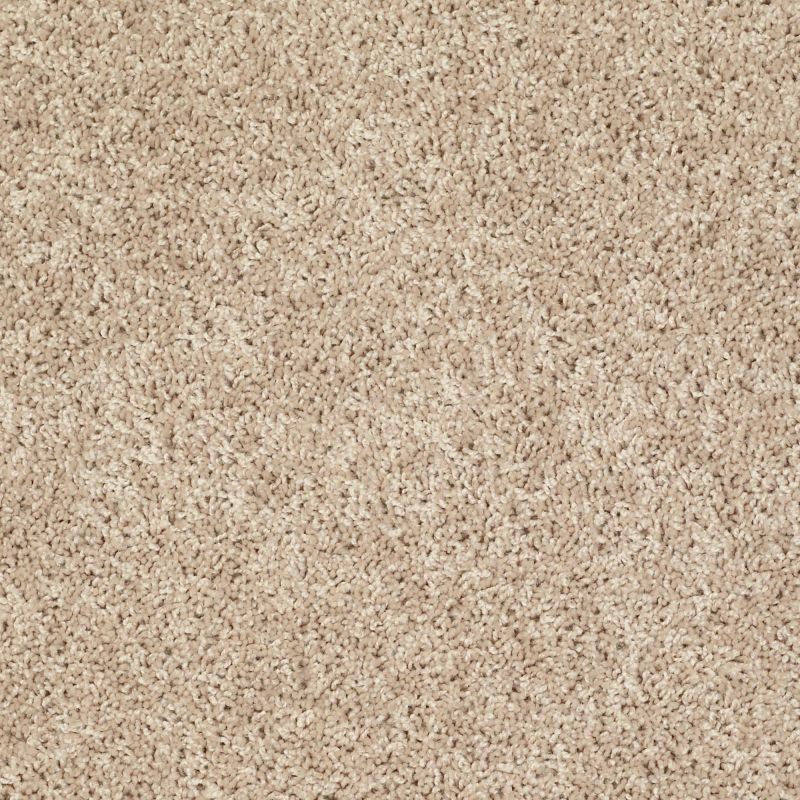 Shaw Floors Value Collections Let's Go (s) Net Natural Sand