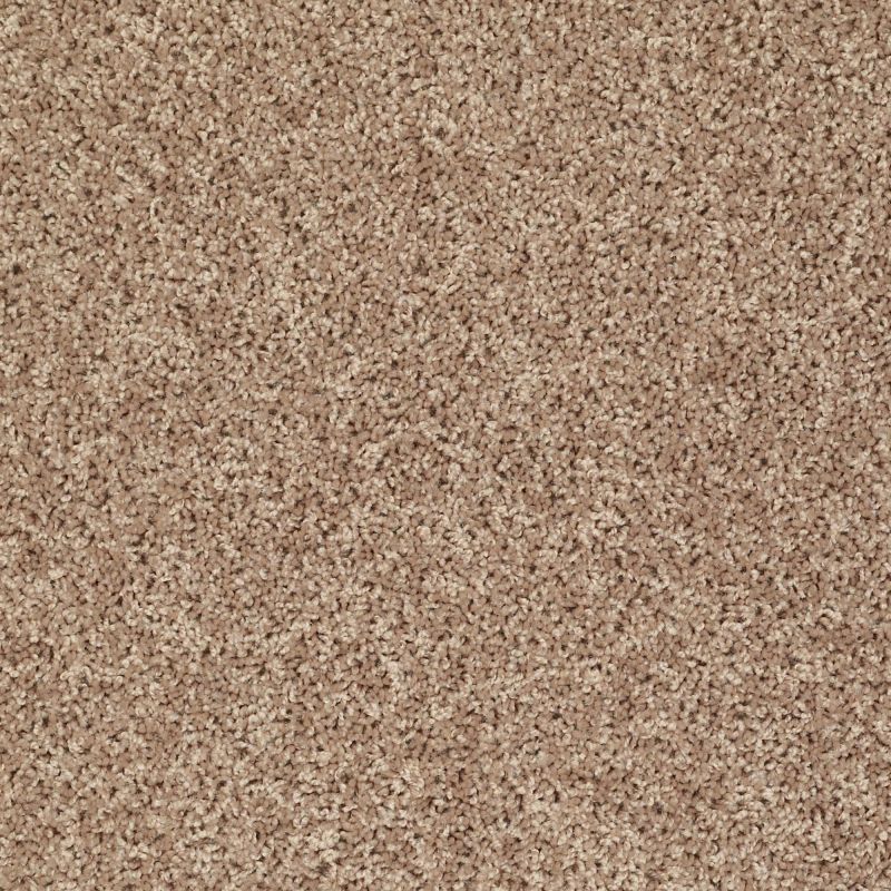 Shaw Floors Value Collections Let's Go (s) Net Northern Plains