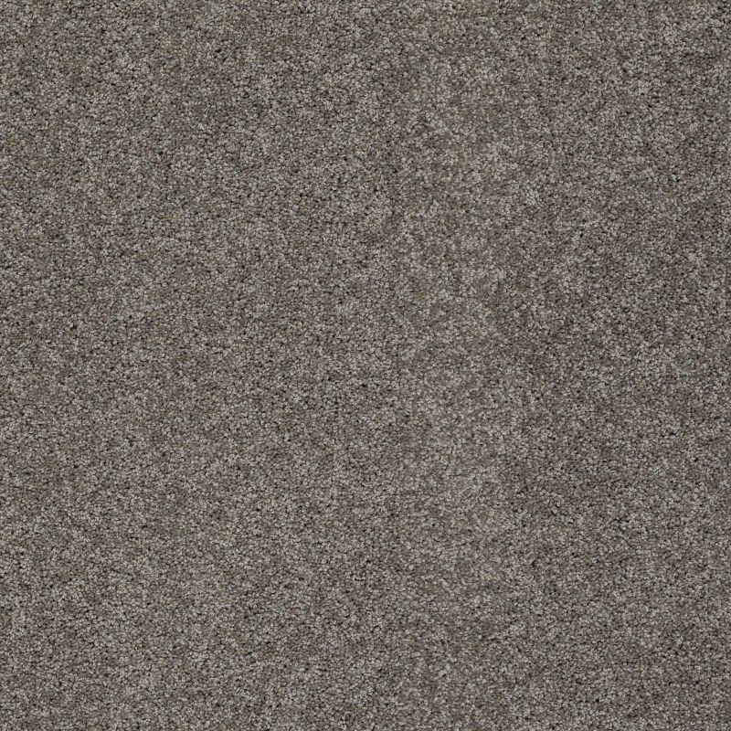 Shaw Floors My Choice I Rustic Elegance