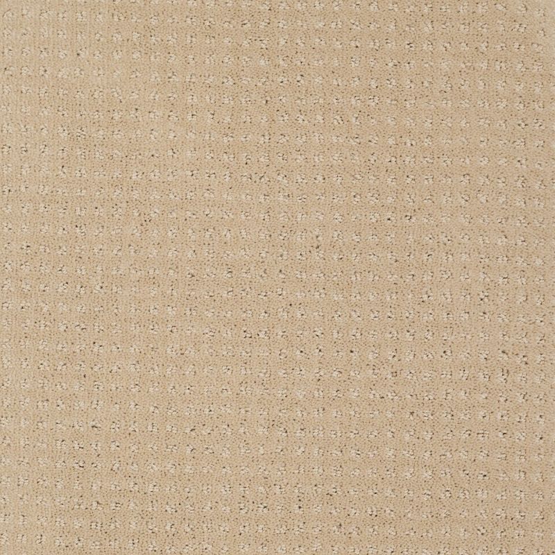 Shaw Floors My Choice Pattern Mesa