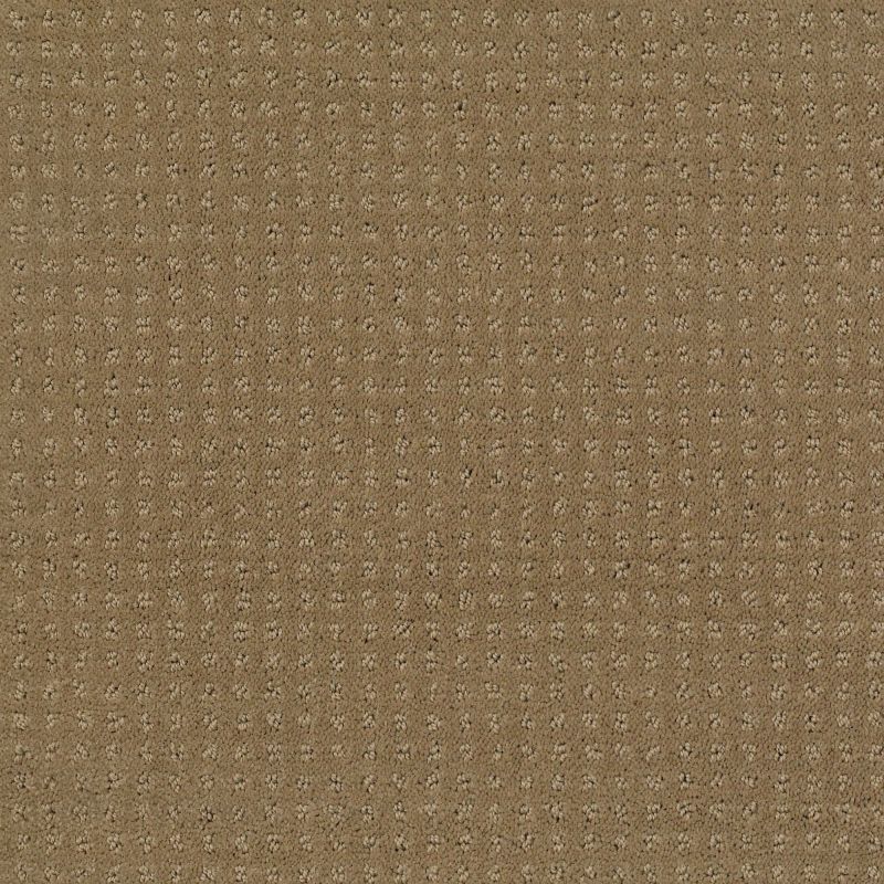 Shaw Floors My Choice Pattern Cappuccino