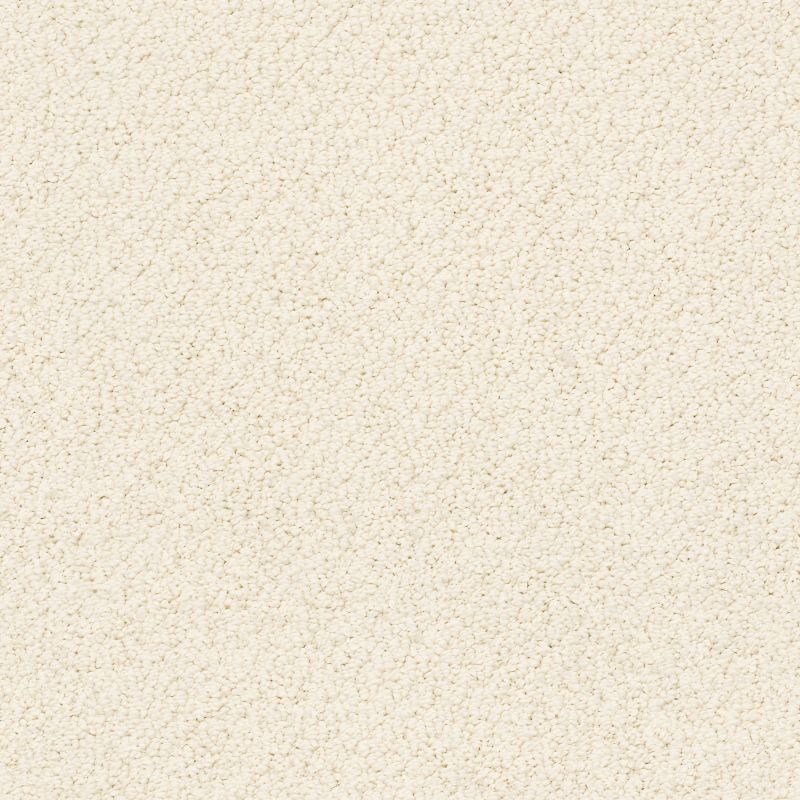 Shaw Floors Truly Relaxed Loop China Pearl