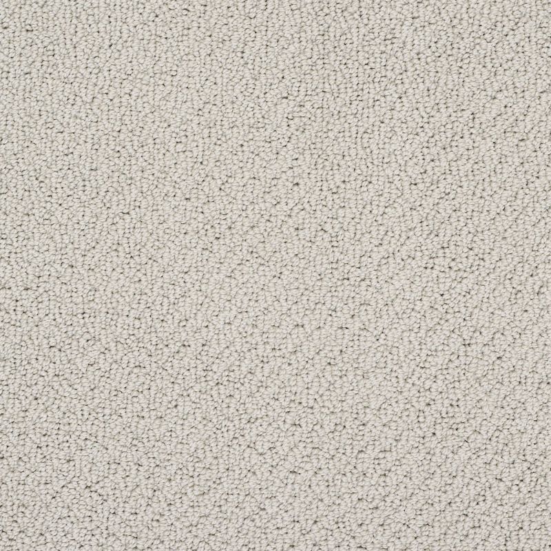 Shaw Floors Truly Relaxed Loop Textured Canvas