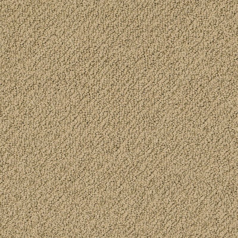 Shaw Floors Truly Relaxed Loop Cappuccino