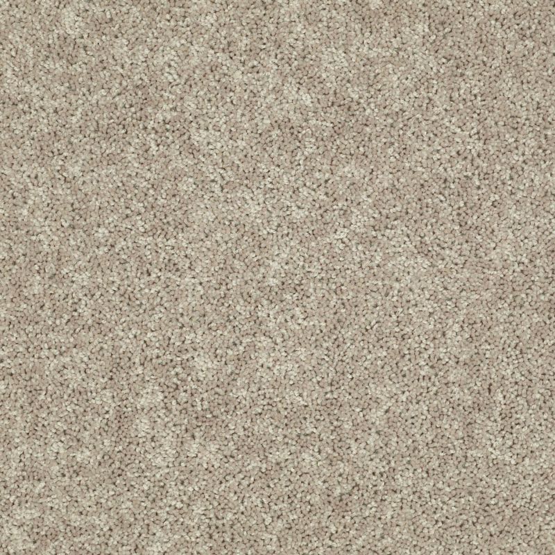 Shaw Floors Value Collections Tactical Net Warm Tea