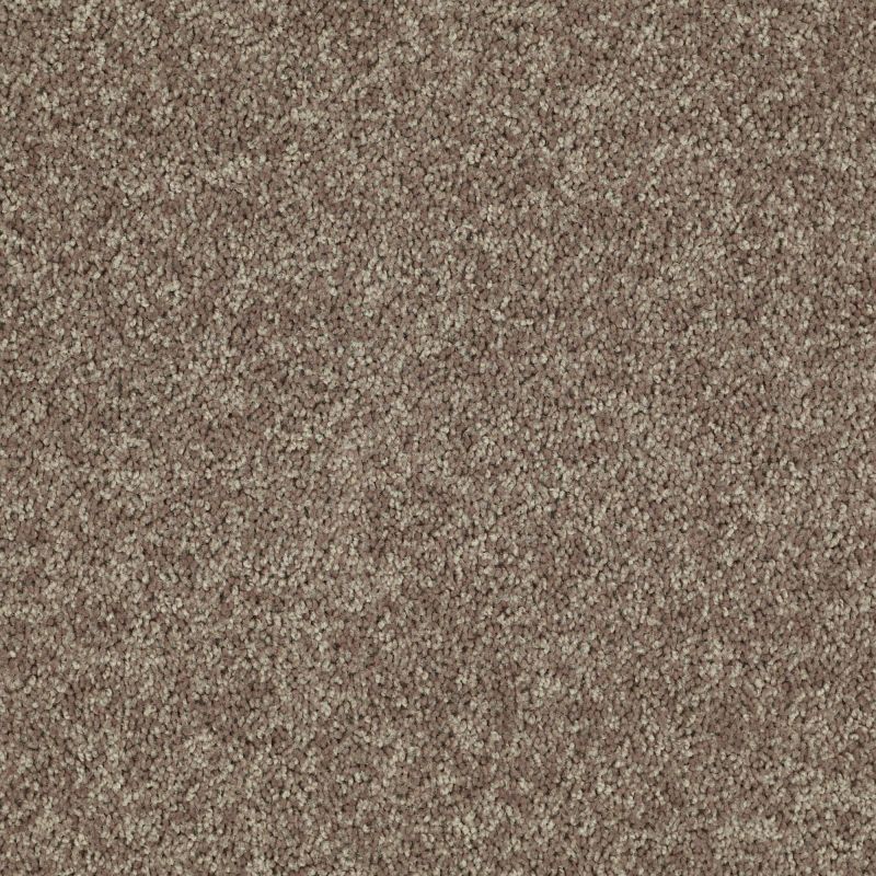 Shaw Floors Value Collections Tactical Net Mocha