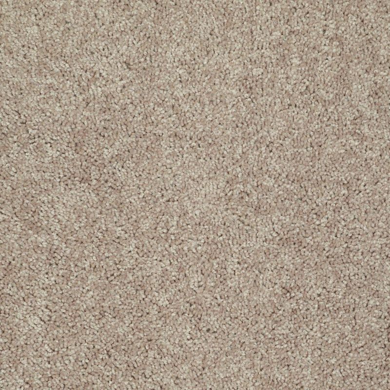 Shaw Floors Value Collections Tactical Net Honey