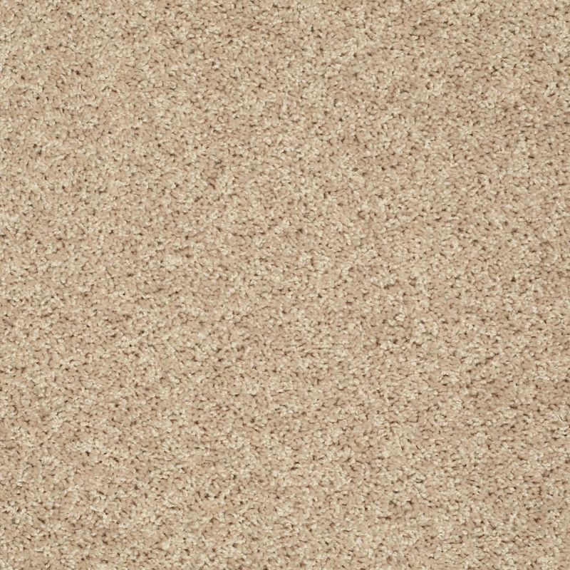Shaw Floors Value Collections Go Big Net Soft Sand