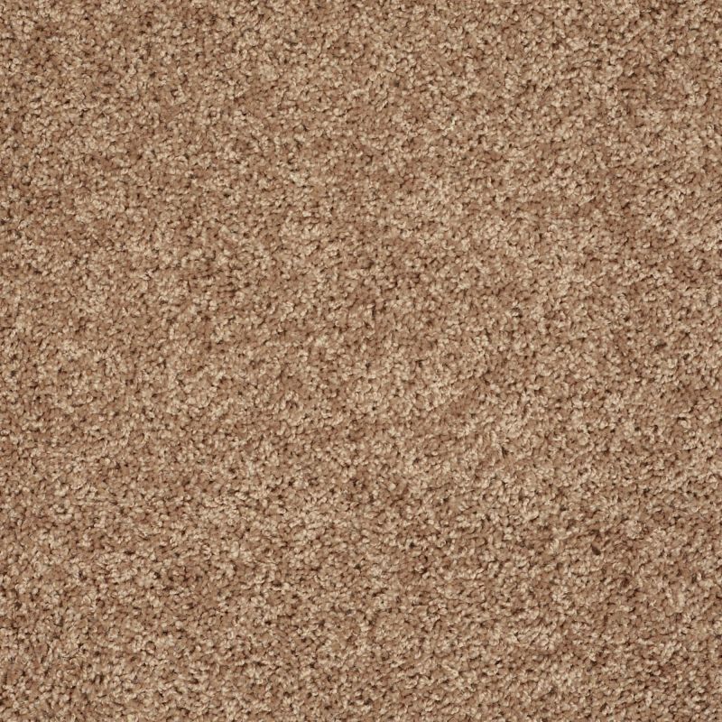 Shaw Floors Value Collections Go Big Net Pebble