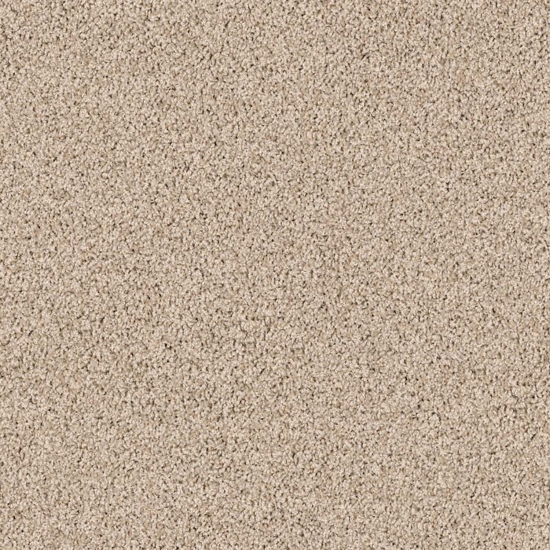 Shaw Floors Value Collections Xv854 Net Virtual Taupe
