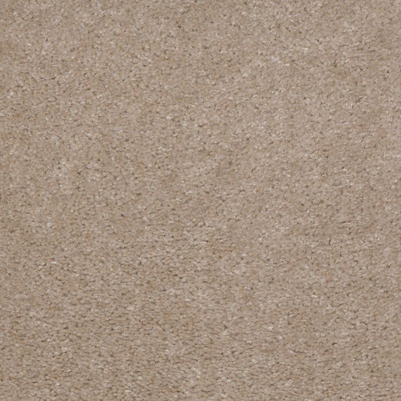 Shaw Floors Value Collections Matador Net Chipmunk