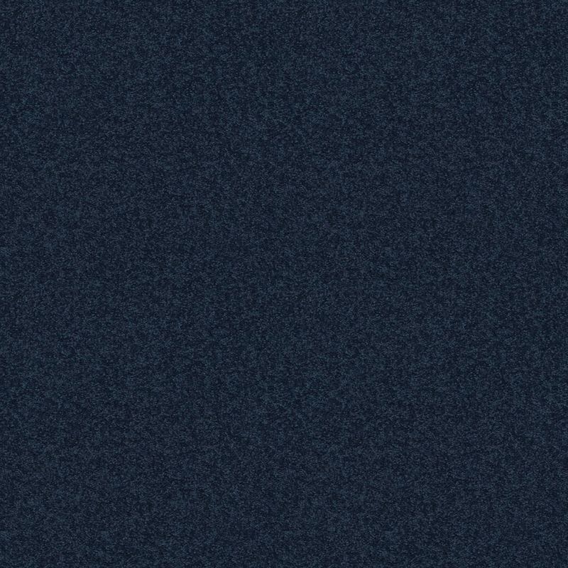 Shaw Floors Value Collections Dashing II 12 Net Darkest Denim