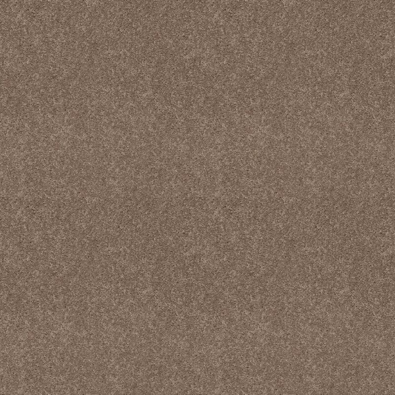 Shaw Floors Value Collections Dashing II 12 Net Taupe Mist