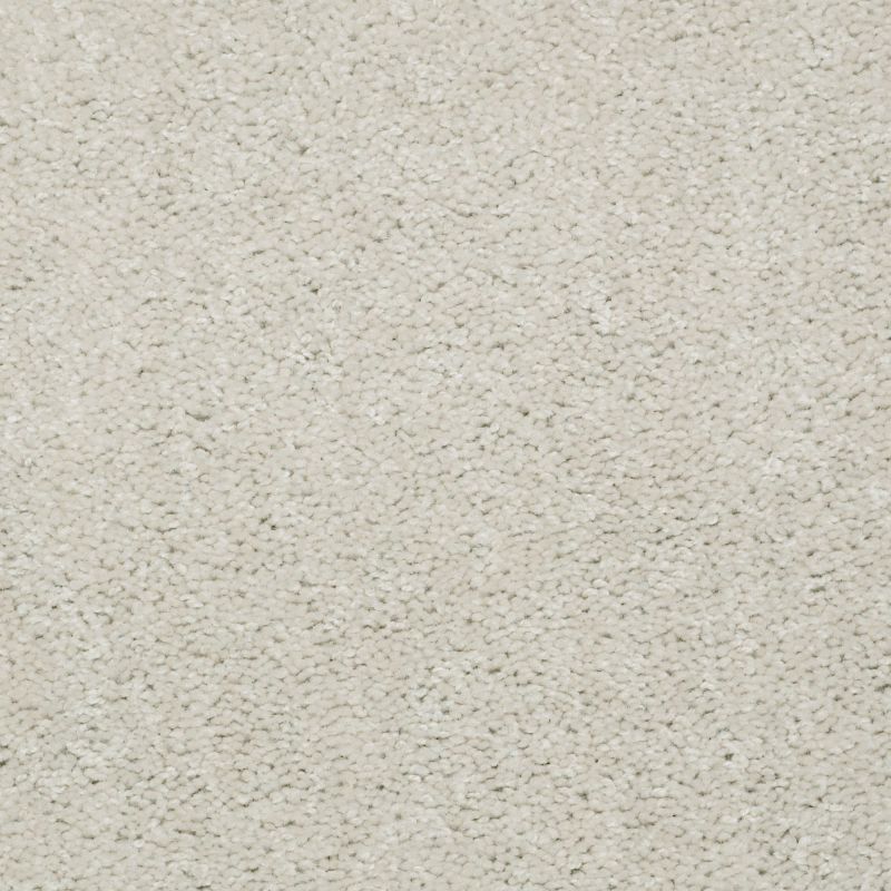 Shaw Floors Value Collections Dashing II 15 Net Alabaster
