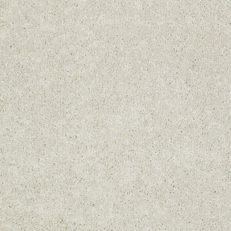 Shaw Floors Value Collections Dashing II 15 Net Ivory Tint
