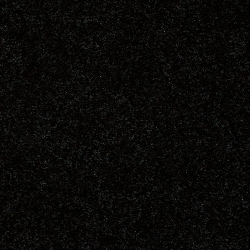 Shaw Floors Value Collections Dashing II 15 Net Coal Black