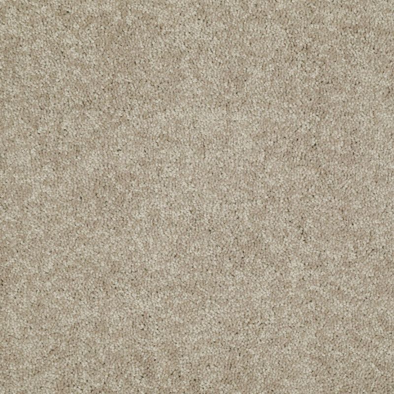 Shaw Floors Value Collections Dashing II 15 Net Dusty Trail