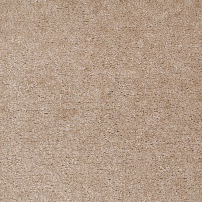 Shaw Floors Value Collections Cascade II Net Fawn's Leap