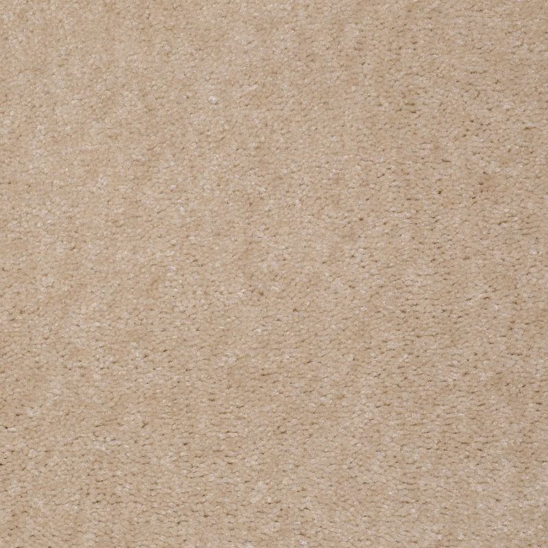 Shaw Floors Value Collections Atherton Net Tea Stain