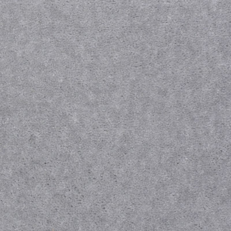 Shaw Floors Value Collections Atherton Net Dublin Grey