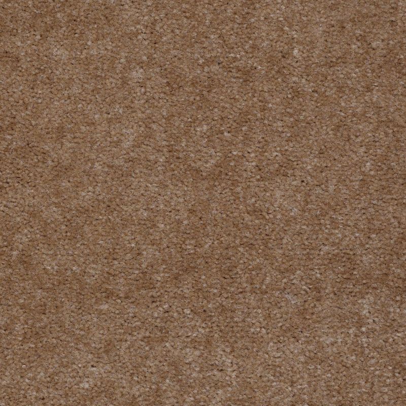 Shaw Floors Value Collections Atherton Net Tudor Brown
