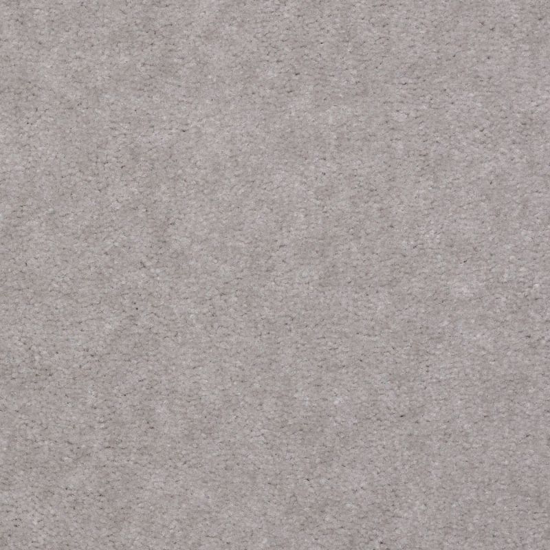 Shaw Floors Value Collections Hawkeye Net Quick Silver