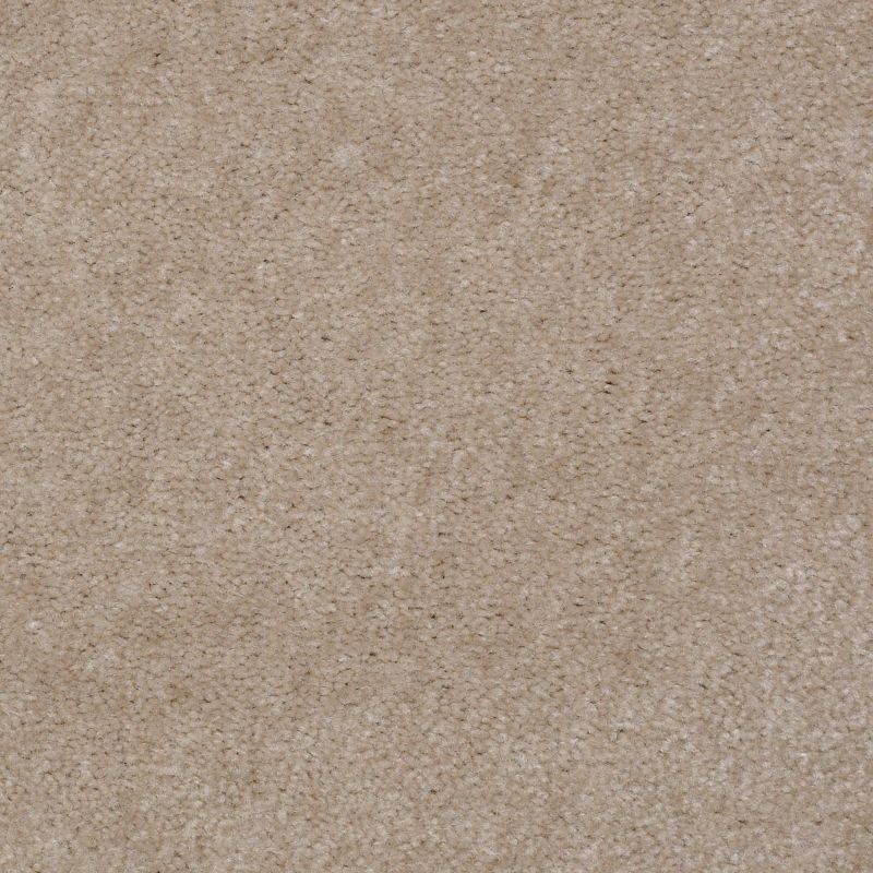 Shaw Floors Value Collections Hawkeye Net Birch Hill