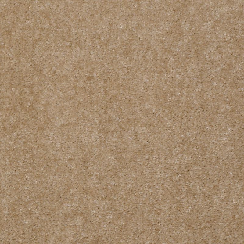 Shaw Floors Value Collections Blazer II Net New Fawn