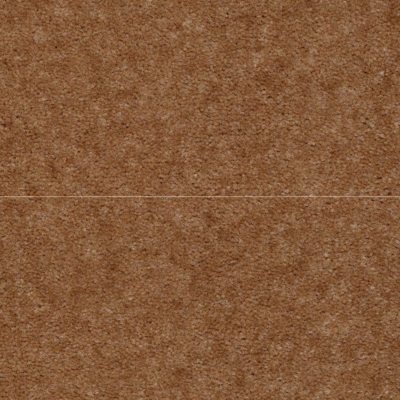 Shaw Floors Value Collections Blazer II Net Suede
